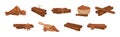 Cinnamon Spice Sticks with Powder and Star Anise Vector Set