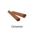 Cinnamon spice - vector illustration in flat design isolated on white background. Cinnamon dried bark strips.