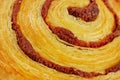 Cinnamon spiral danish pastry close up Royalty Free Stock Photo