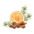 Cinnamon, star anise spices, orange slice with pine branches. Watercolor illustration. Hand drawn aroma organic spices