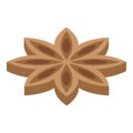 Cinnamon star icon, isometric style