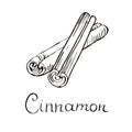 Cinnamon stick. Cinnamon . Vector cinnamon stick. Cinnamon