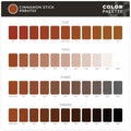 Cinnamon Stick / Color Palette Ready for Textile. Hue, Tints, Tones and Shades Guide.