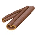 Cinnamon stick digital illustration. Christmas spices.