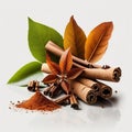Cinnamon is stick and powder, condiment and flavoring