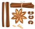 Cinnamon stick, star anise, anise and cardamom . Isolated icons on white background