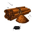 Cinnamon stick tied bunch and powder. Vector drawing. Hand drawn