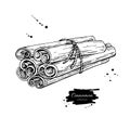 Cinnamon stick tied bunch Vector drawing. Hand drawn sketch. Sea