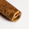 Cinnamon Stick