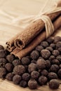 Cinnamon sticks with allspice (Jamaica pepper) Royalty Free Stock Photo