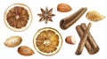 Cinnamon sticks almond anise star and dried orange slices set watercolor illustration isolated on white background Royalty Free Stock Photo