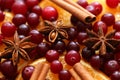 Cinnamon sticks, anise, orange slices and cranberries