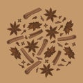 Cinnamon sticks, anise star and cloves. Seasonal food vector illustration on brown background. Hand drawn doodles o