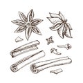 Cinnamon sticks, anise star and cloves. Vector drawing of aromatic spices set. Seasonal food illustration isolated on