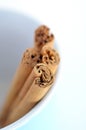Cinnamon sticks Royalty Free Stock Photo