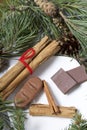 Cinnamon sticks and chocolate next to the pine twigs and cones. On a wooden box