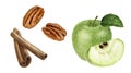 Cinnamon sticks green apple and pecan nut set watercolor illustration isolated on white background Royalty Free Stock Photo