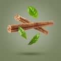 Cinnamon sticks and leaves in air on greyish green background Royalty Free Stock Photo