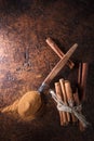 Cinnamon sticks and powder in spoon on a old copper table . Royalty Free Stock Photo