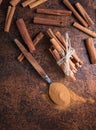 Cinnamon sticks and powder in spoon on a old copper table . Royalty Free Stock Photo