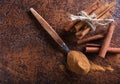 Cinnamon sticks and powder in spoon on a old copper table . Royalty Free Stock Photo