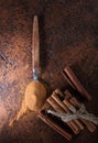 Cinnamon sticks and powder in spoon on a old copper table . Royalty Free Stock Photo
