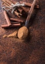 Cinnamon sticks and powder in spoon on a old copper table Royalty Free Stock Photo