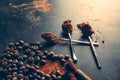 Cinnamon sticks powder in spoons coffee beans Royalty Free Stock Photo