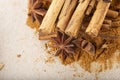 Cinnamon sticks and powder with star anise on copy space Royalty Free Stock Photo