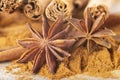 Cinnamon sticks and powder with star anise on copy space Royalty Free Stock Photo