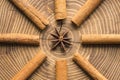 Cinnamon sticks with star anise centred on acacia wood slice Royalty Free Stock Photo