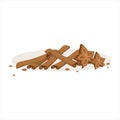 Cinnamon sticks and stars of anise baking ingredients vector Illustration