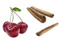 Cinnamon sticks sweet cherry set watercolor illustration isolated on white background Royalty Free Stock Photo