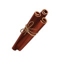 Cinnamon sticks tied with rope. Cooking ingredient. Aromatic condiment for food and drinks. Flat vector icon