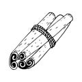 Cinnamon sticks tied with rope hand drawn doodle. single element for design icon, label, menu, sticker. food, seasonings, spices