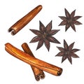 Cinnamon sticks with whole star anise set of condiments. Hand draw watercolor. For cooking autumn warming kitchen spices.