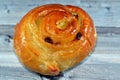 Cinnamon swirl puff roll sweetened with honey and raisins and filled with custard cream baked, selective focus of pastries Royalty Free Stock Photo