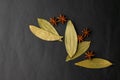 Cinnamon Tamla leaves with star anise pods spices on black colored background with copy space Royalty Free Stock Photo