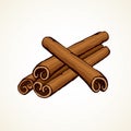 Cinnamon. Vector drawing Royalty Free Stock Photo