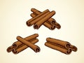 Cinnamon. Vector drawing Royalty Free Stock Photo