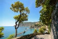 Cinque Terre: Hiking trail to village of Monterosso al Mare, Liguria Italy Royalty Free Stock Photo