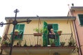 Cinque Terre, Italy - old Italian woman stands leaning on a railing of a colorful balcony with potted plants.