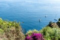 Cinque Terre National Park in Italy. Hiking among tree covered hills on Italian coast Royalty Free Stock Photo