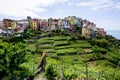 Cinque Terre village with colorful houses on a hill with terraced grass fields. Royalty Free Stock Photo