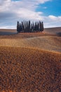 Cipressi Di San Quirico D\'Orcia at golden hour with beautiful warm light and clouds Royalty Free Stock Photo