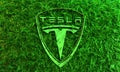 Tesla car emblem and fresh spring grass.