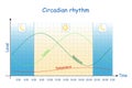 Circadian rhythm. Diagram of melatonin, and cortisol hormones level Royalty Free Stock Photo