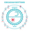 Circadian Rhythm. Scheme of Sleep Wake Cycle. Infographic Elements. Sunlight Exposure on Regulates Hormones Production