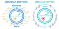 Circadian Rhythm Set. Scheme of Sleep Wake Cycle