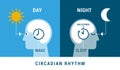 The circadian rhythm and sleep-wake cycle Royalty Free Stock Photo